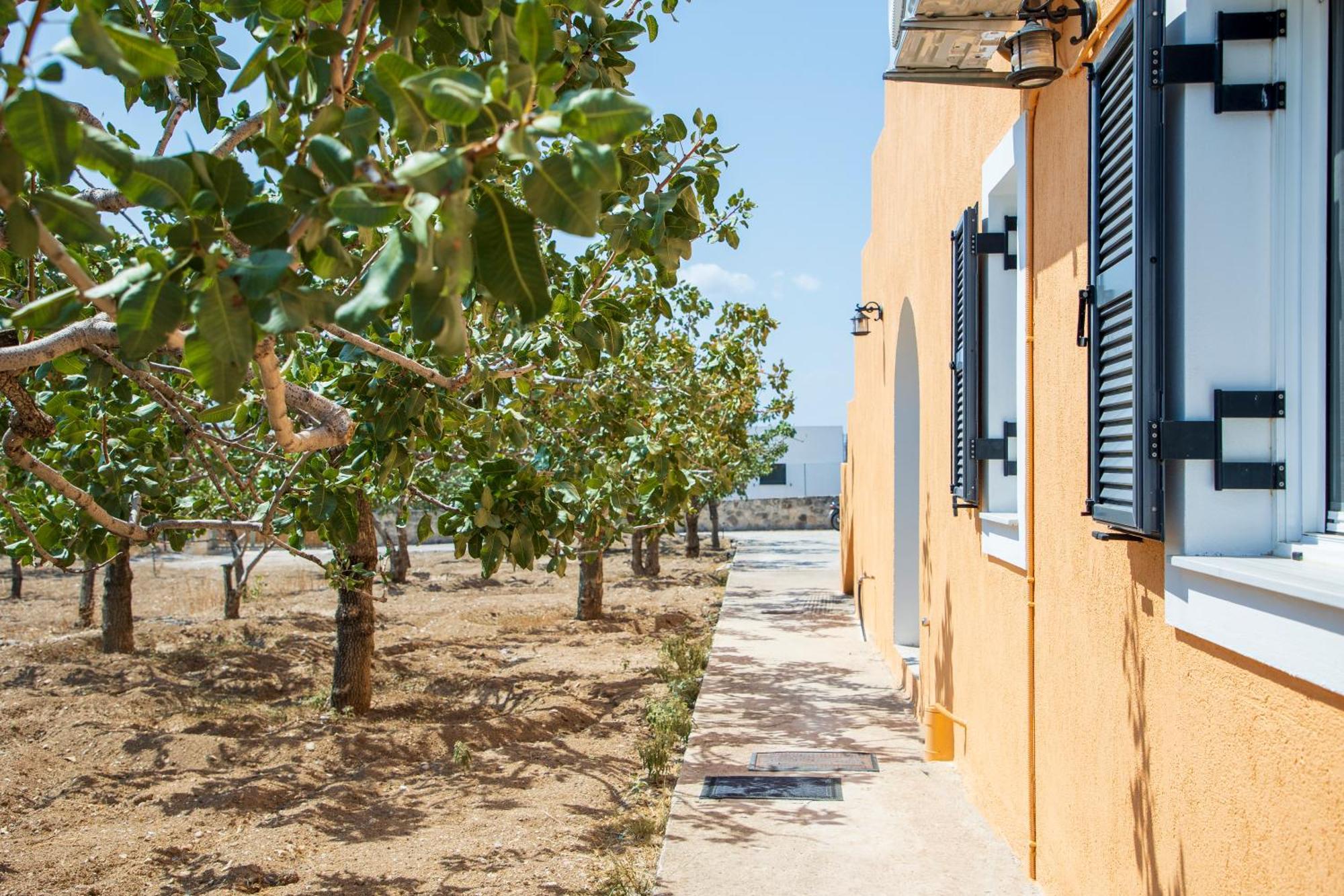 Nick'S House Villa Aegina Exterior foto